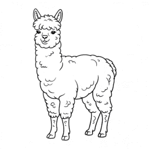 Coloriage Animal Alpaga