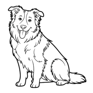 Coloriage Chien Border Collie