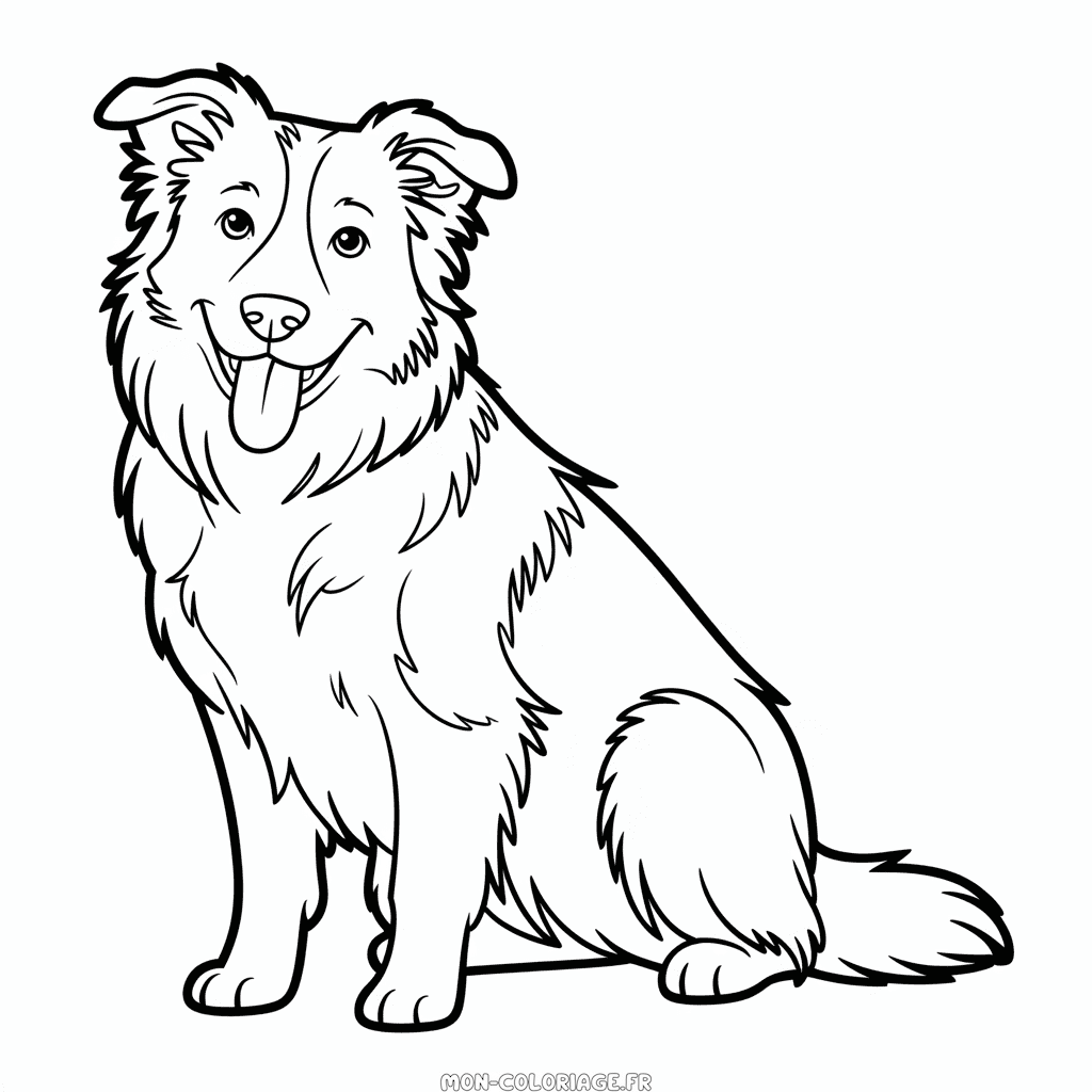 Coloriage Chien Border Collie