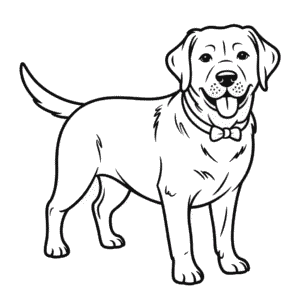 Coloriage Chien Labrador Noir