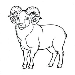 Coloriage Animal Bélier