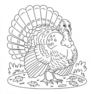 Coloriage Grande Dinde