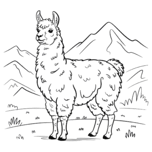Coloriage Lama Réaliste
