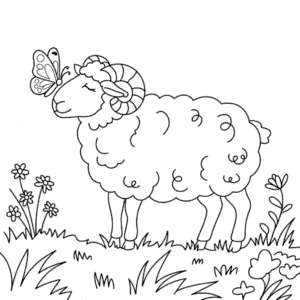 Coloriage Mouton Adulte