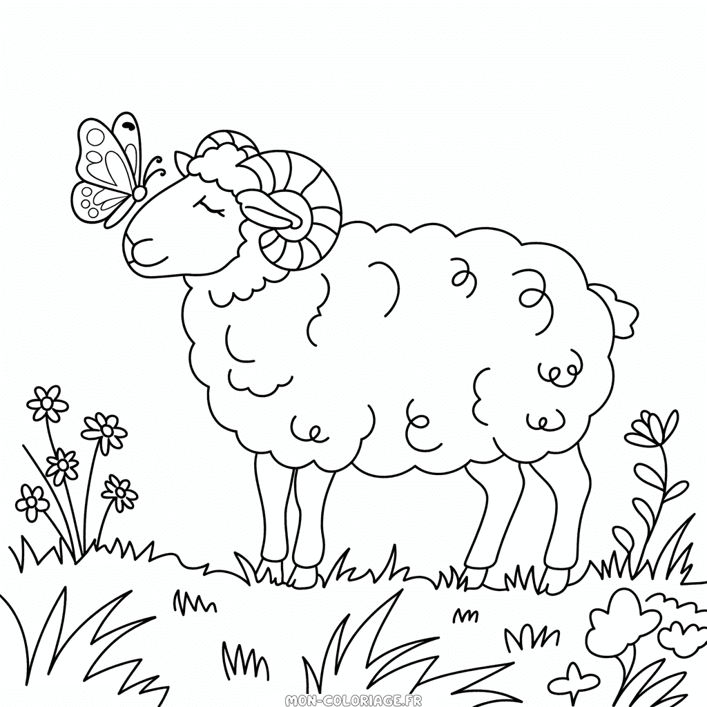Coloriage Mouton Adulte