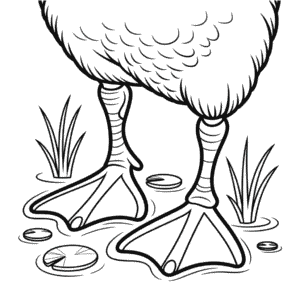 Coloriage Pieds de Canard