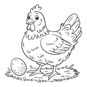Coloriage Poule réaliste