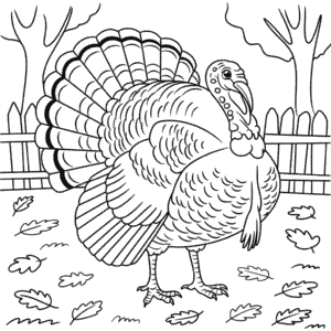Coloriage Image de Dinde