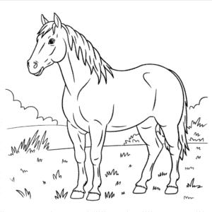 Coloriage Vrai Cheval